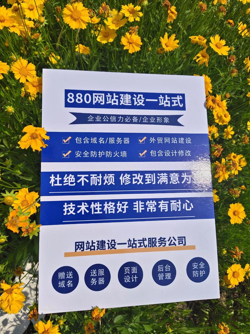 网页设计